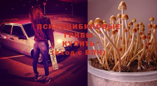 прущие крисы Абаза