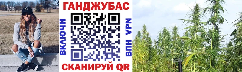 Бошки марихуана индика  где продают наркотики  Щучье 